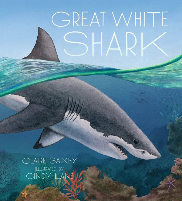 Great White Shark-Children’s / Teenage general interest: Nature and animals-買書書 BuyBookBook