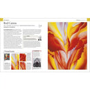 Great Paintings (Hardback) DK UK