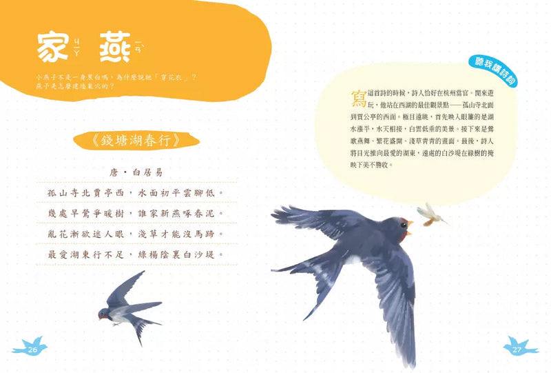 古詩詞裡的自然常識【套書】： 蔬菜．水果．昆蟲．鳥類，完全解答（全套4冊‧特別附贈給台灣孩子的四季自然觀察筆記）-非故事: 動物植物 Animal & Plant-買書書 BuyBookBook