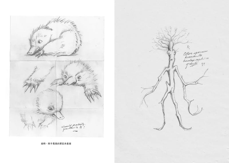怪獸與牠們的產地系列 電影劇本書【首刷限定珍藏3冊套書】-故事: 奇幻魔法 Fantasy & Magical-買書書 BuyBookBook