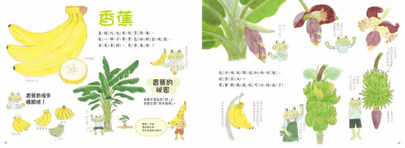 果園裡的美味大餐 (鈴木桃)-非故事: 常識通識 General Knowledge-買書書 BuyBookBook