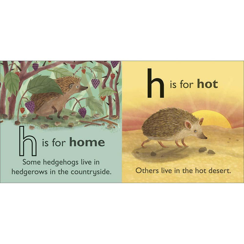 H is for Hedgehog (Board book) DK UK