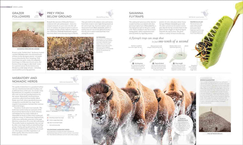 Habitats-Nature and the natural world: general interest-買書書 BuyBookBook