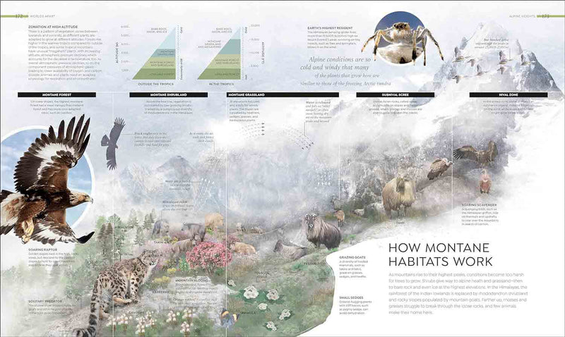 Habitats-Nature and the natural world: general interest-買書書 BuyBookBook