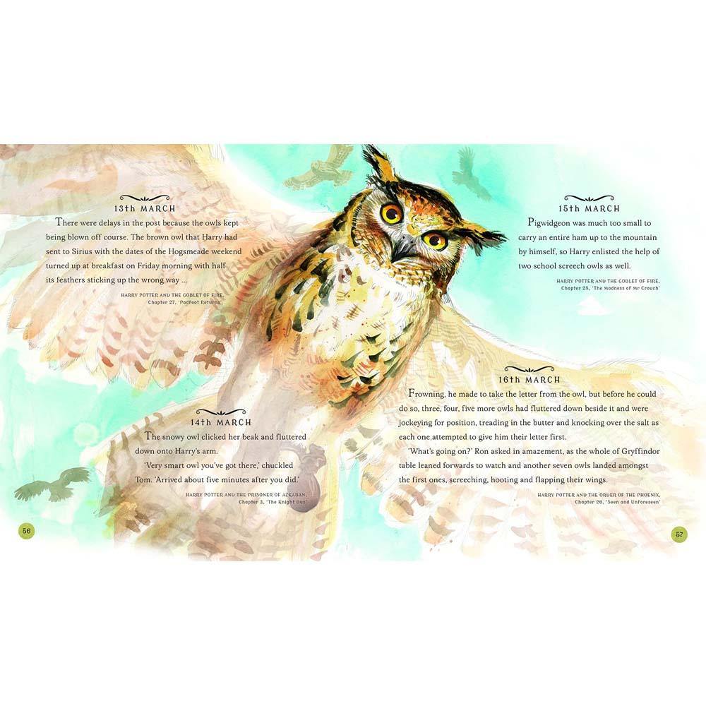 Harry Potter – A Magical Year The Illustrations of Jim Kay (Hardback) (J.K. Rowling) Bloomsbury