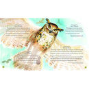 Harry Potter – A Magical Year The Illustrations of Jim Kay (Hardback) (J.K. Rowling) Bloomsbury