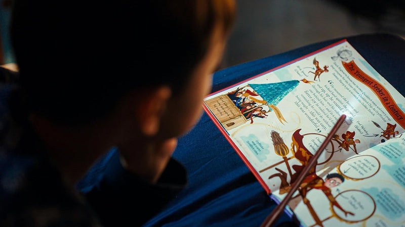 Harry Potter (Pocket Potters)