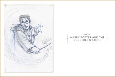 Harry Potter: The Storyboards
