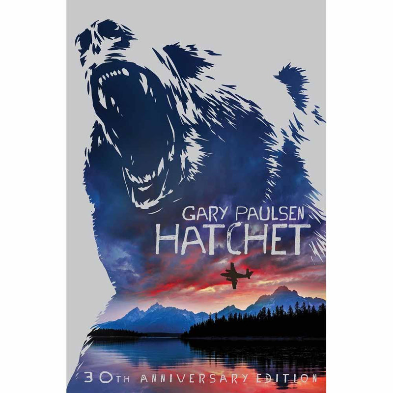 Hatchet (Gary Paulsen) (Paperback) Macmillan UK