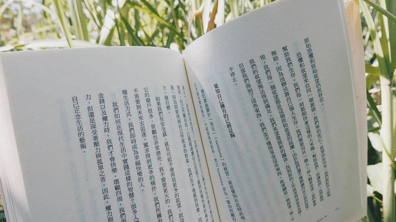 和好：療癒你的內在小孩 (一行禪師)-非故事: 心理勵志 Self-help-買書書 BuyBookBook