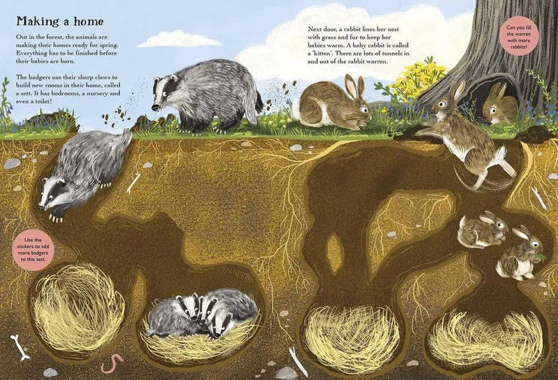 Hedgehogs, Hares and Other British Animals Nosy Crow