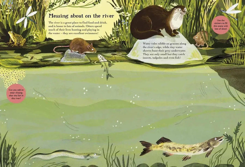 Hedgehogs, Hares and Other British Animals Nosy Crow