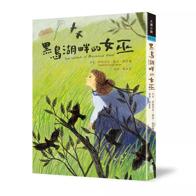 黑鳥湖畔的女巫 ★紐伯瑞文學獎金牌獎-故事: 經典傳統 Classic & Traditional-買書書 BuyBookBook