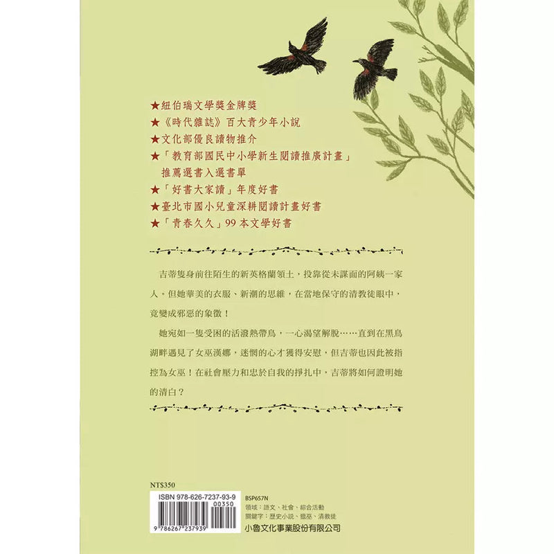 黑鳥湖畔的女巫 ★紐伯瑞文學獎金牌獎-故事: 經典傳統 Classic & Traditional-買書書 BuyBookBook