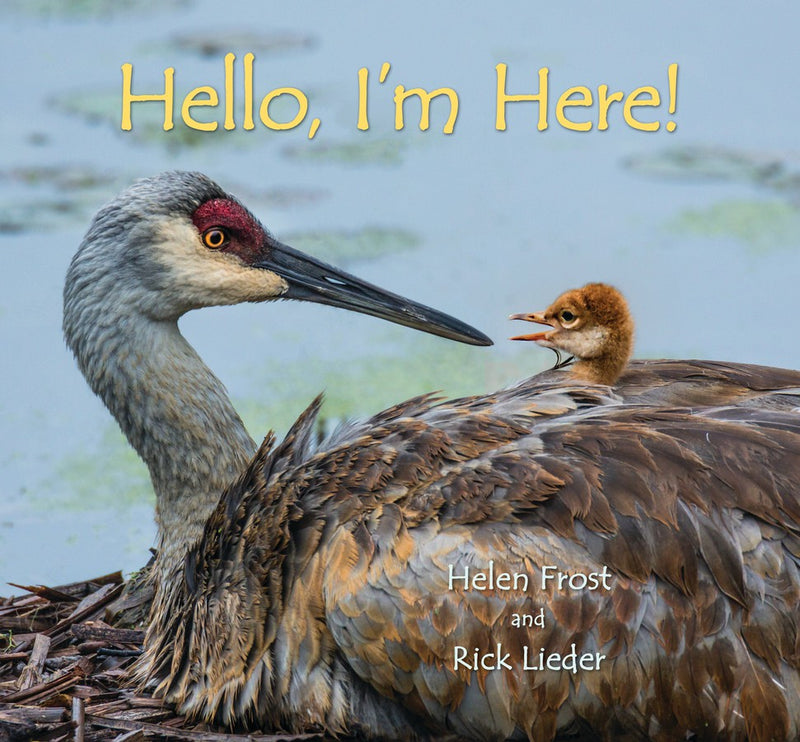 Hello, I'm Here!-Children’s / Teenage general interest: Nature and animals-買書書 BuyBookBook