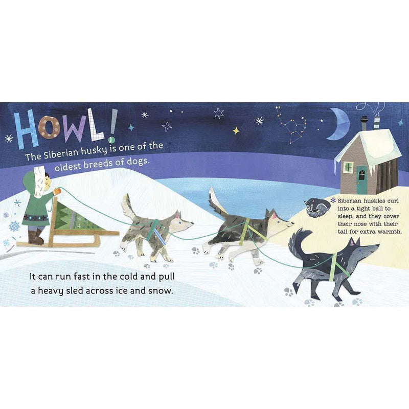 Hello, World! Arctic Animals (Board Book) PRHUS