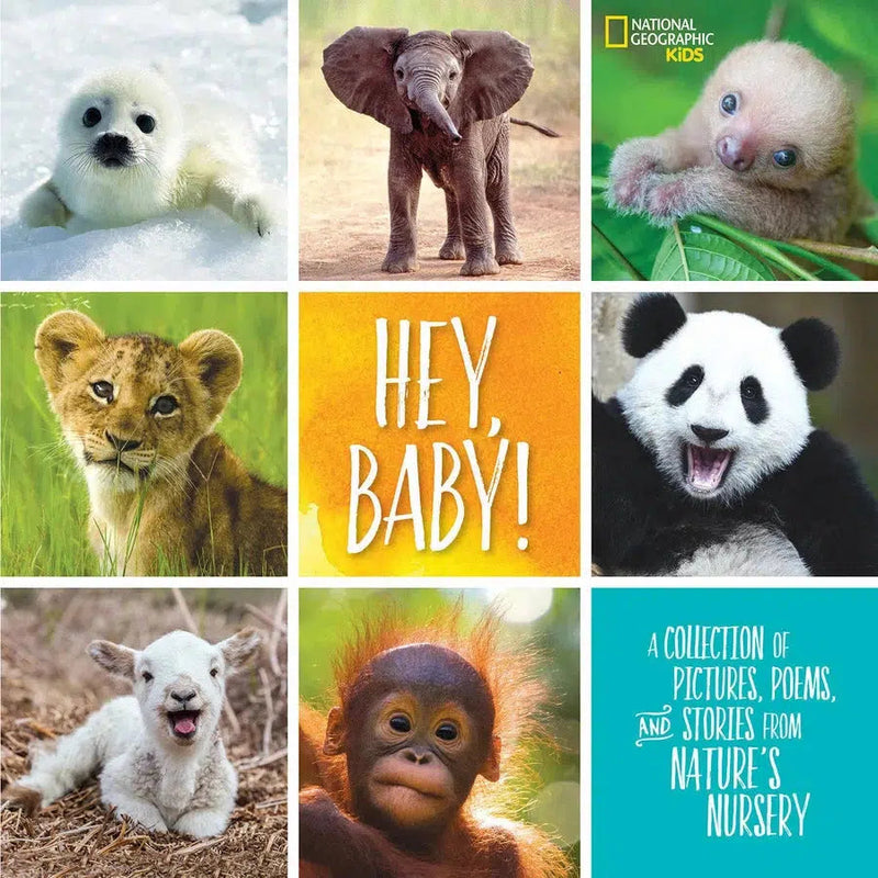 Hey, Baby!-Children’s / Teenage general interest: Nature, animals, the natural world-買書書 BuyBookBook