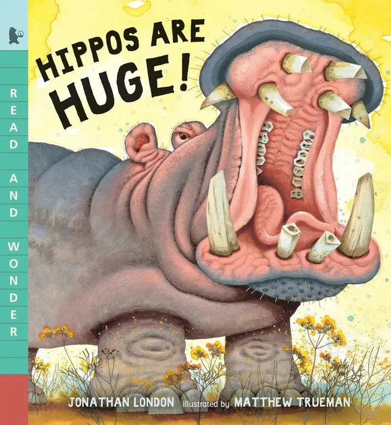 Hippos Are Huge!-Children’s / Teenage general interest: Nature and animals-買書書 BuyBookBook