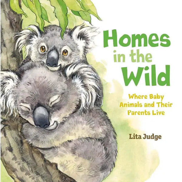 Homes in the Wild (Hardback) Macmillan US