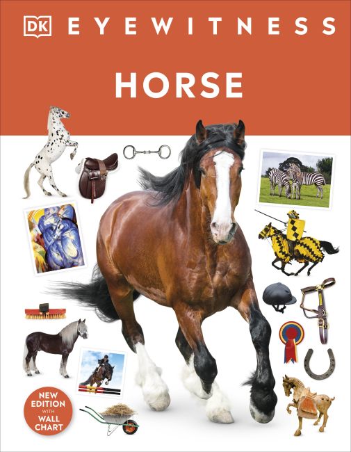 Horse-Horses and ponies: general interest-買書書 BuyBookBook