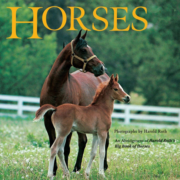 Horses-Children’s / Teenage general interest: Nature and animals-買書書 BuyBookBook