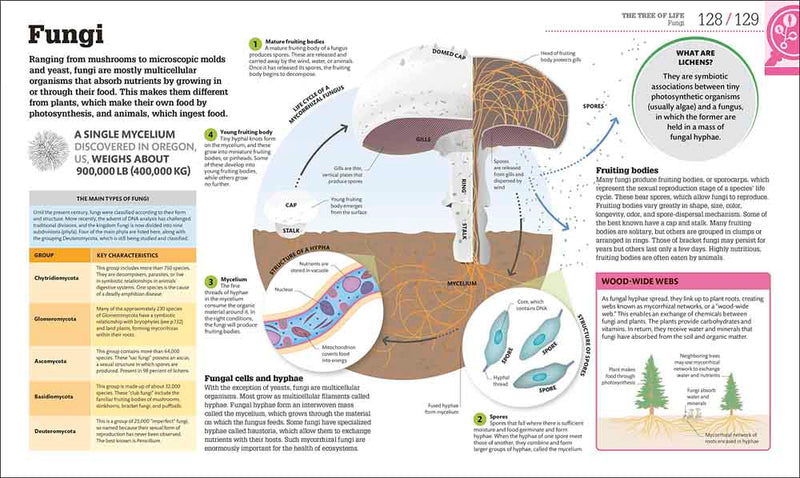 How Biology Works-Mathematics and Science-買書書 BuyBookBook