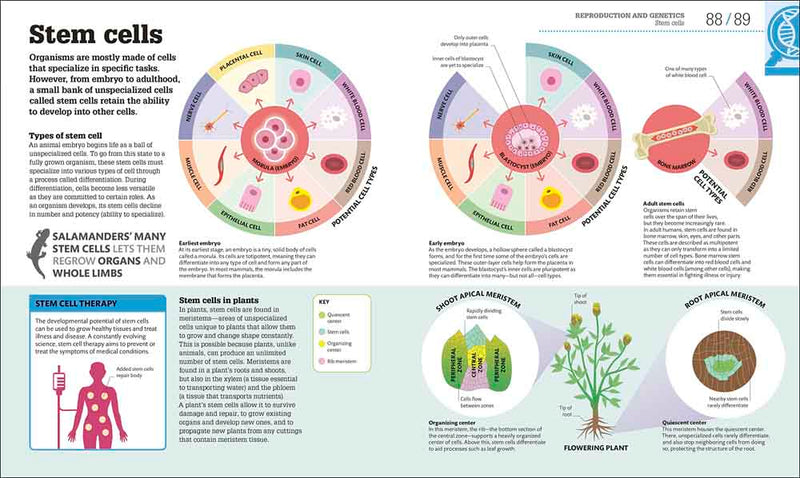 How Biology Works-Mathematics and Science-買書書 BuyBookBook