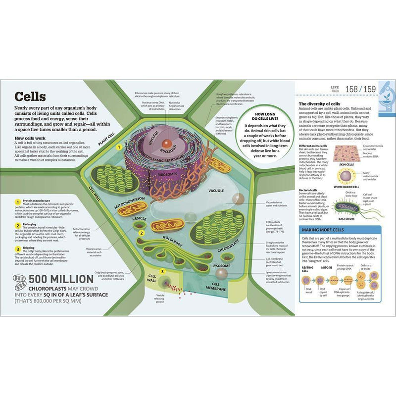 How Science Works-Popular science-買書書 BuyBookBook