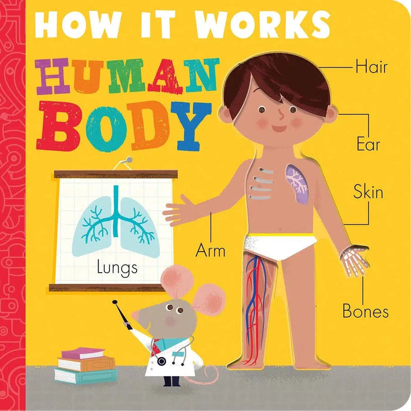 How it Works: Human Body-Children’s Early years / early learning concepts-買書書 BuyBookBook