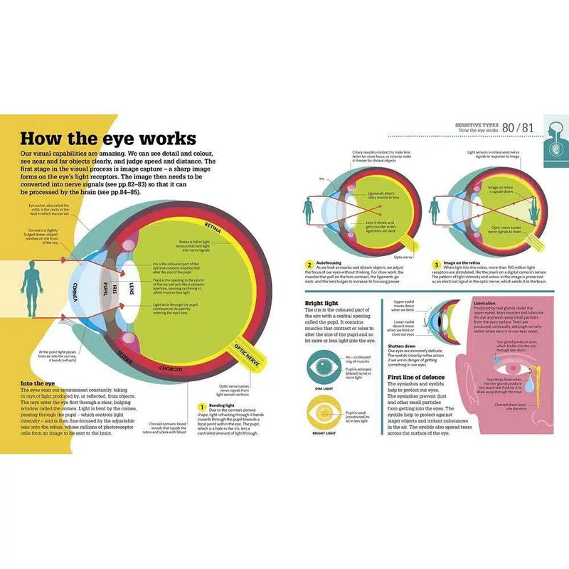 How the Body Works - The Facts Visually Explained (Hardback) DK UK