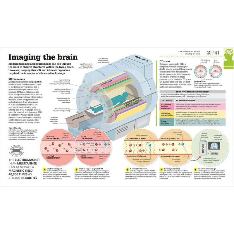 How the Brain Works-Mathematics and Science-買書書 BuyBookBook