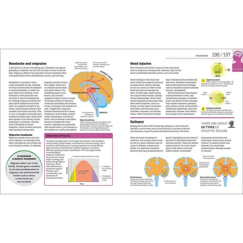 How the Brain Works-Mathematics and Science-買書書 BuyBookBook