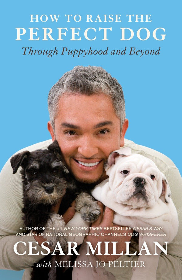 How to Raise the Perfect Dog-Nature and the natural world: general interest-買書書 BuyBookBook