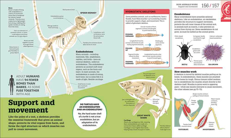 How Biology Works-Mathematics and Science-買書書 BuyBookBook