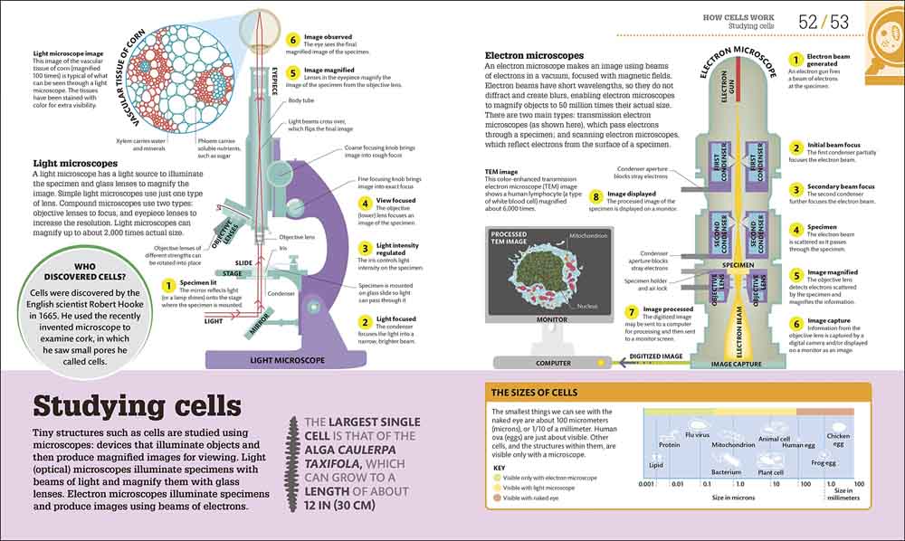 How Biology Works-Mathematics and Science-買書書 BuyBookBook