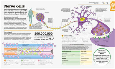 How Biology Works-Mathematics and Science-買書書 BuyBookBook