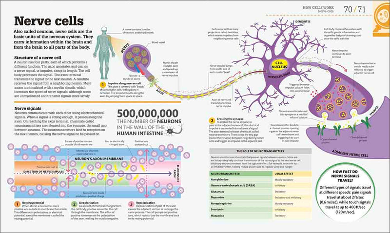 How Biology Works-Mathematics and Science-買書書 BuyBookBook