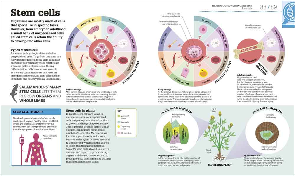 How Biology Works-Mathematics and Science-買書書 BuyBookBook
