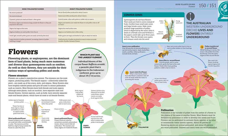 How Biology Works-Mathematics and Science-買書書 BuyBookBook