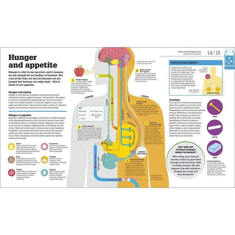 How Food Works-Medicine and Nursing-買書書 BuyBookBook