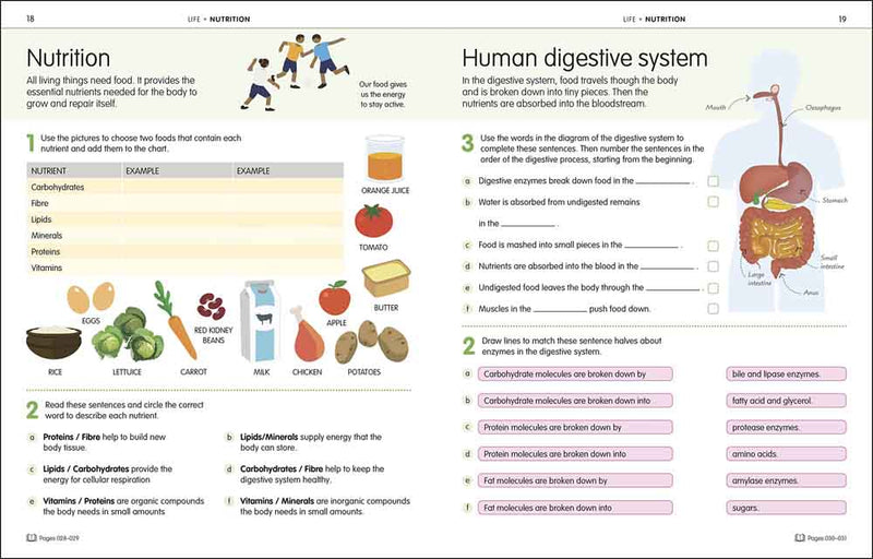 How to be Good at Science, Technology & Engineering Workbook 2 - 買書書 BuyBookBook