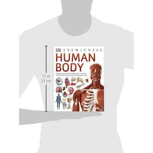 DK Eyewitness - Human Body (Paperback) DK UK