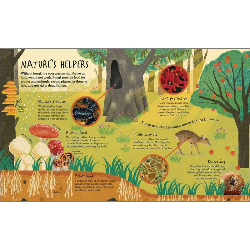 Humongous Fungus (Hardback) DK UK