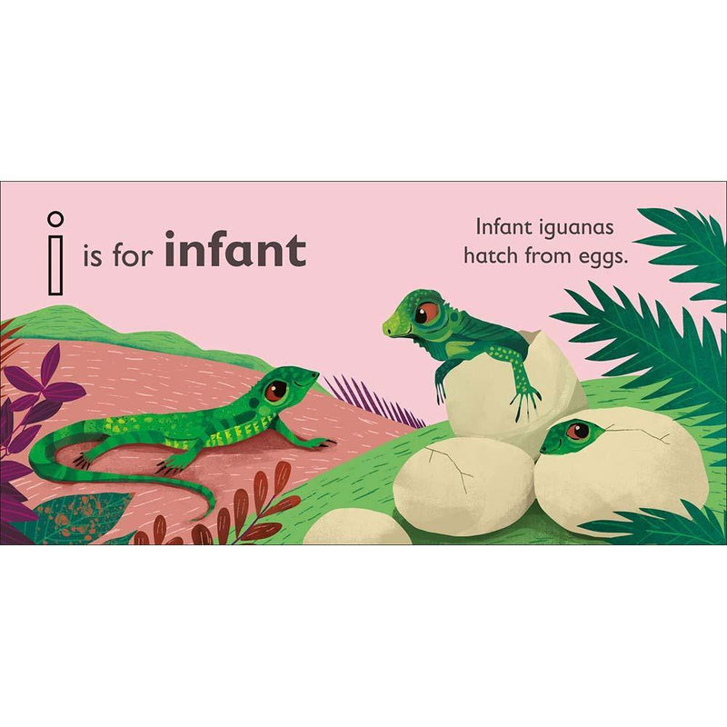 I is for Iguana (Board book) DK UK