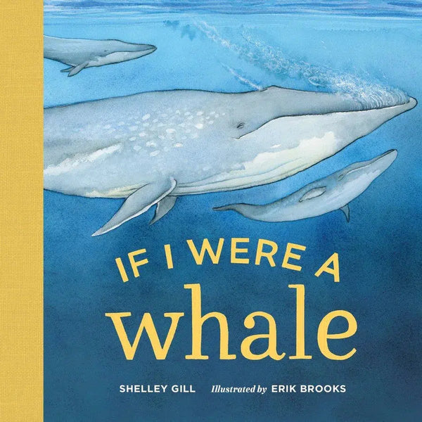 If I Were a Whale-Children’s / Teenage general interest: Nature and animals-買書書 BuyBookBook