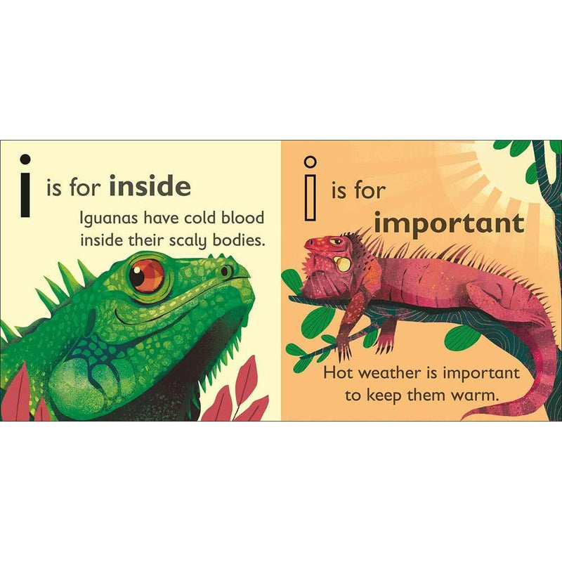 I is for Iguana (Board book) DK UK