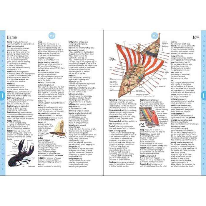 Illustrated English dictionary Usborne