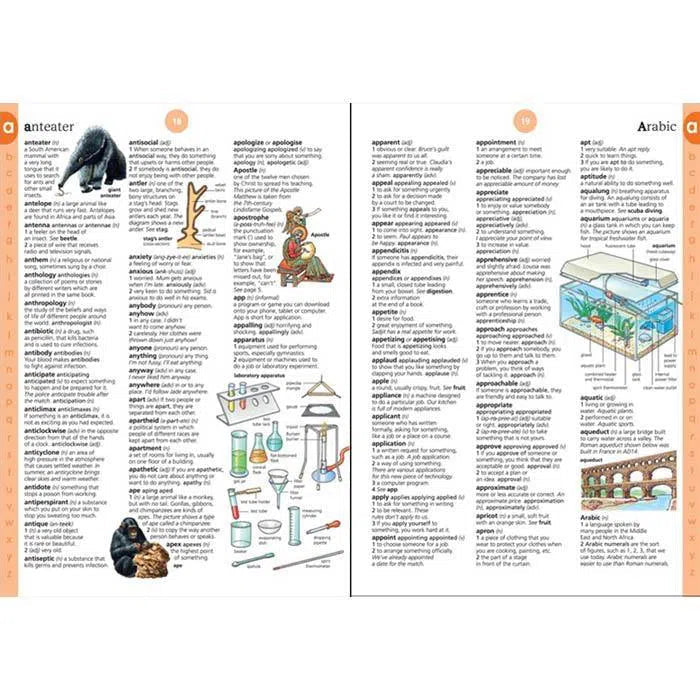 Illustrated English dictionary Usborne