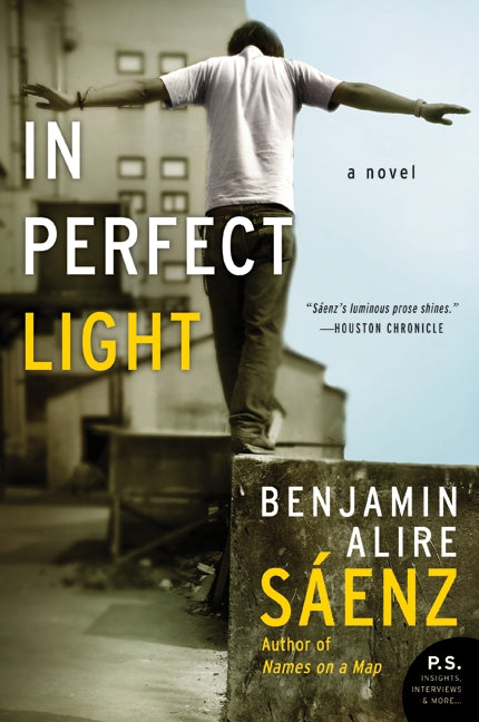 In Perfect Light-Fiction: general and literary-買書書 BuyBookBook