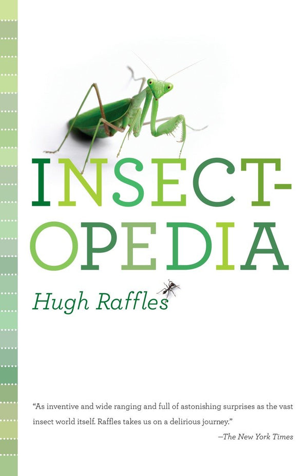 Insectopedia-Nature and the natural world: general interest-買書書 BuyBookBook